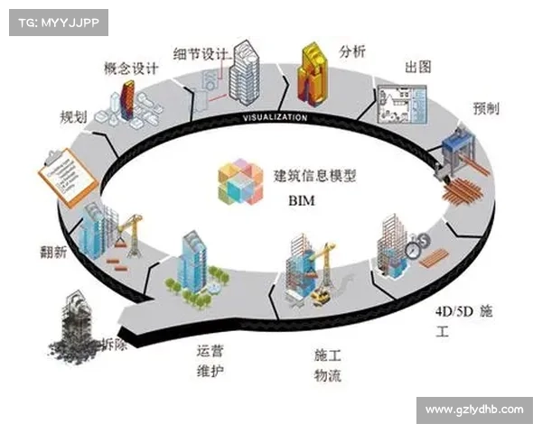 DK宏技术应用研究的十大优化策略及其在实际项目中的实施效果分析 DK宏技术应用研究的十大优化策略及其在实际项目中的实施效果分析