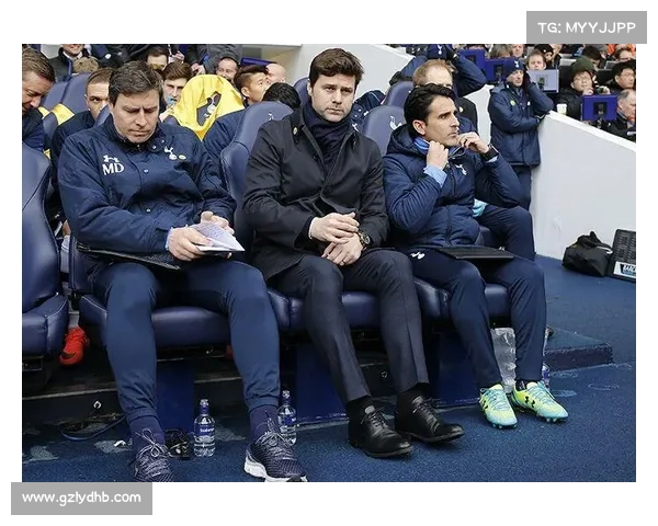 全面解析波切蒂诺加盟热刺背后的多重动因与深层发展逻辑探秘